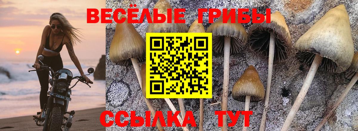 Стерлитамак  Галлюциногенные грибы MAGIC MUSHROOMS  наркота  Вход с VPN  Псилоцибиновые грибы прущие грибы 
