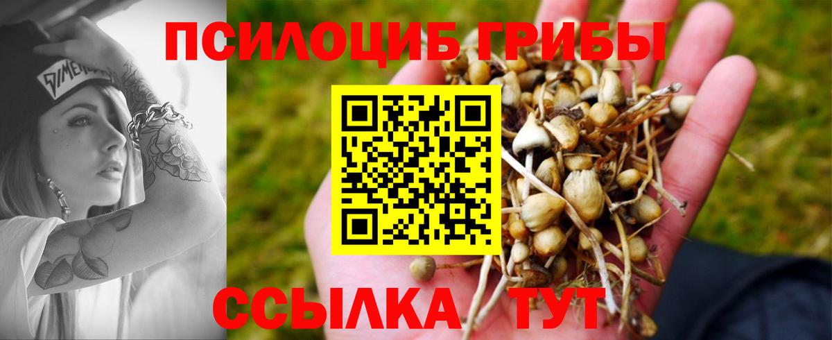 Псилоцибиновые грибы GOLDEN TEACHER Стерлитамак